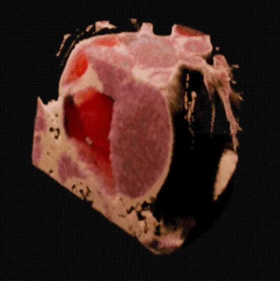4d